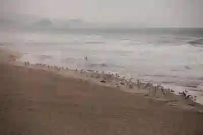 강릉 디월트 매장 찾는 3가지 방법 알아보자