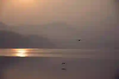 양평 마끼다 매장 위치와 고객센터 전화번호 알아보자