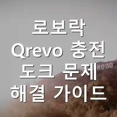 로보락 Qrevo 충전 도크 문제 해결 가이드